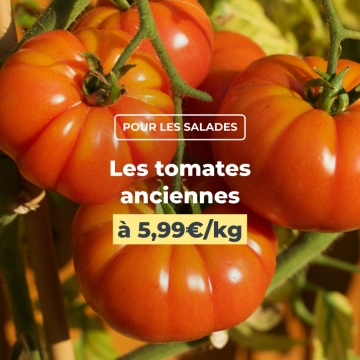 Les tomates anciennes à 5,99€