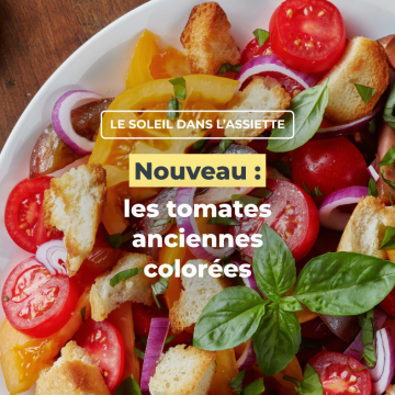 Nouveau :  les tomates anciennes colorées