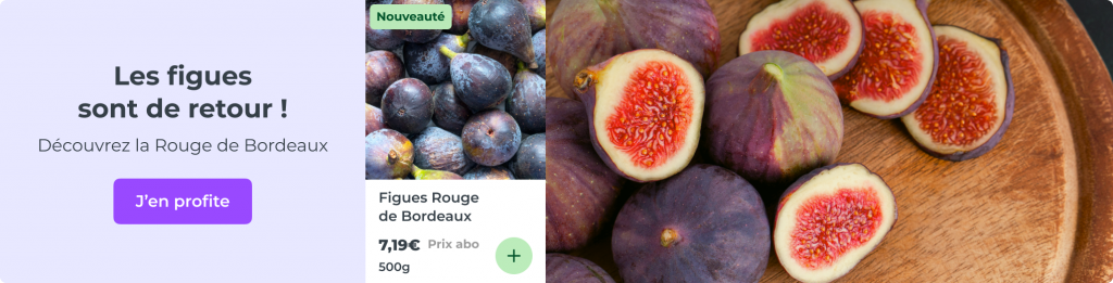 Les figues sont de retour