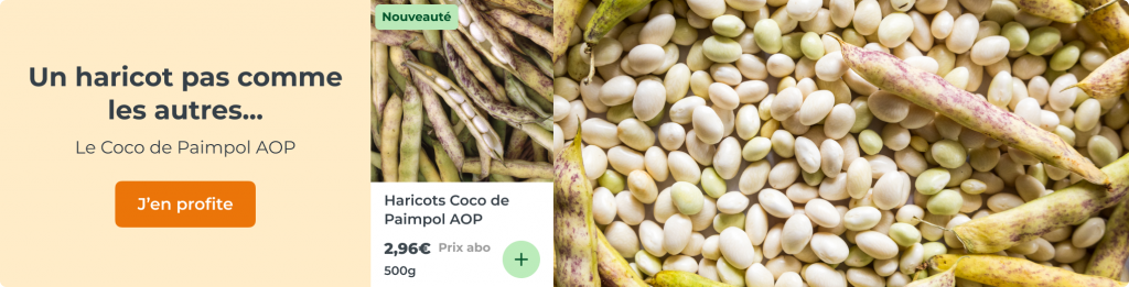 Le Coco de Paimpol : un haricot pas comme les autres
