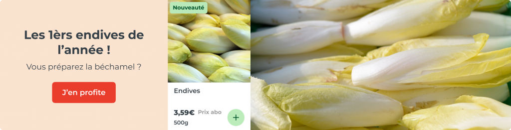 Les premières endives, fraîches et fondantes !