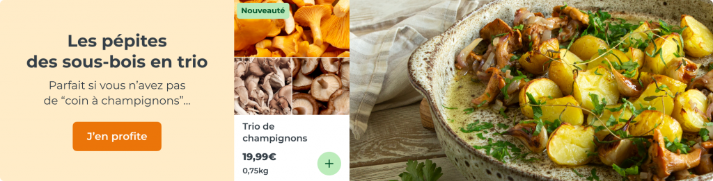 Le trio parfait pour l'automne
