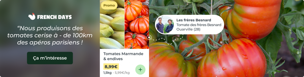 Les tomates des frères Besnard