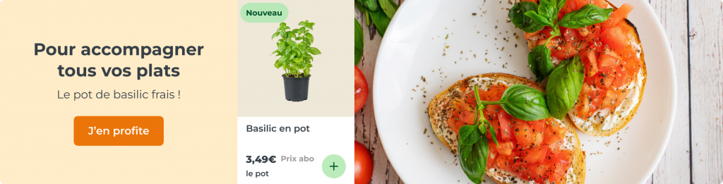 Pour accompagner tous vos plats, un pot de basilic !