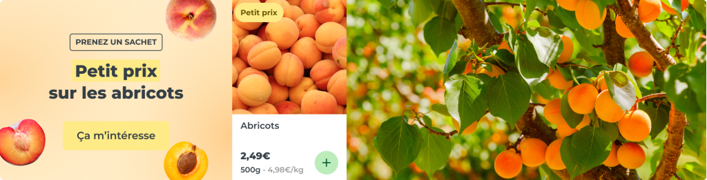 Petit prix sur les abricots !