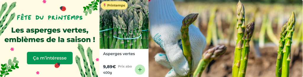 Les asperges vertes, emblèmes de la saison !