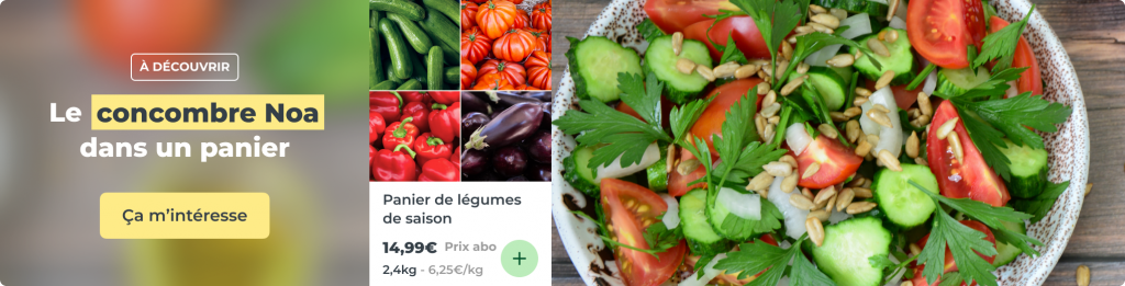 Concombre Noa dans vos paniers !