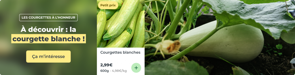 Courgettes blanches
