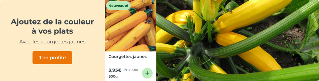Ajoutez de la couleur à vos plats avec la courgette jaune !