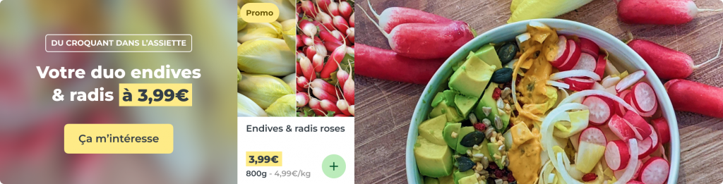 Endives & radis roses