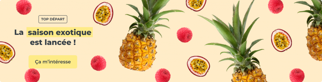 La saison exotique est lancée !