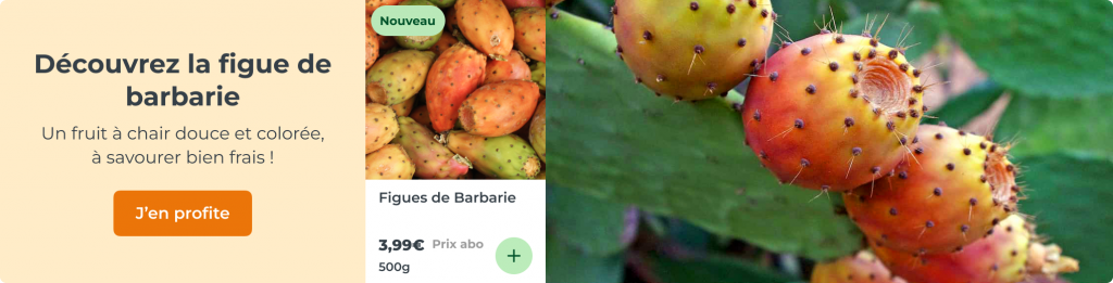 Découvrez la figue de barbarie, un fruit à la chair douce et colorée !