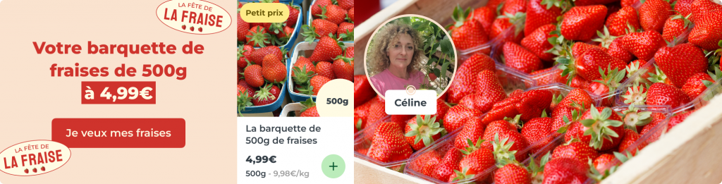La barquette de 500g de fraises
