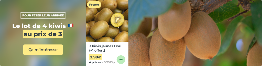 3 kiwis jaunes Dori (+1 offert)