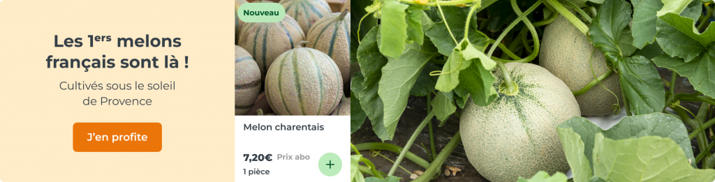 Melon charentais