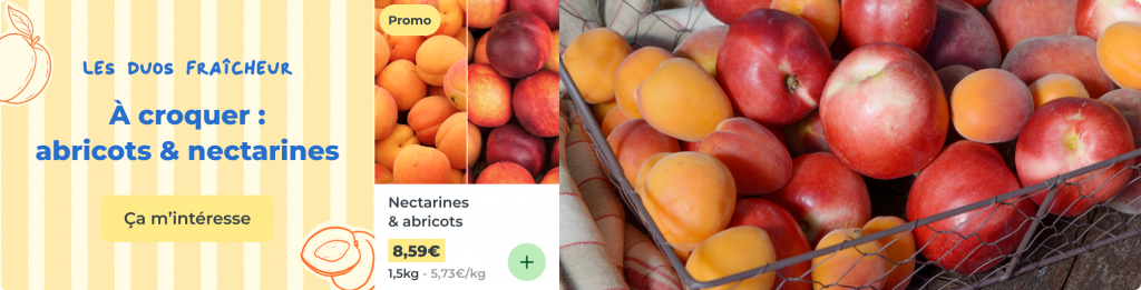 Duo fraîcheur : abricots et nectarines