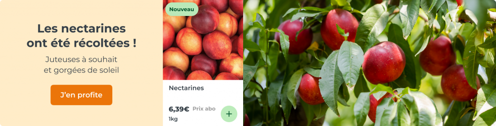 Nectarines