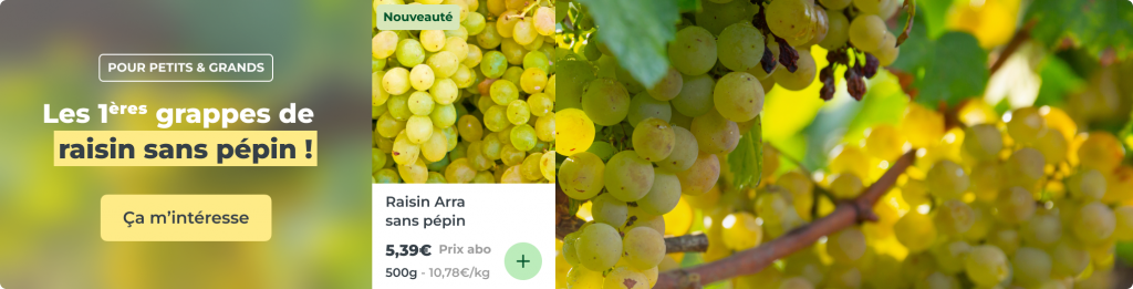 Les 1ères grappes de raisin sans pépin !