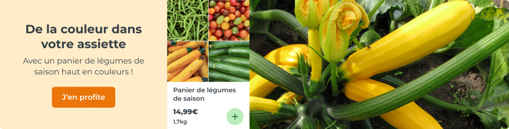De la couleur dans votre assiette avec un panier de légumes de saison haut en couleurs !