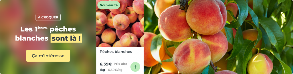 Les premières pêches blanches sont là !