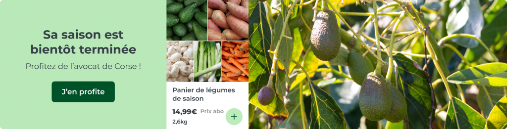 L'avocat de Corse, sa saison est bientôt terminée !