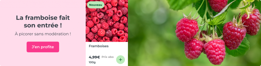 La framboise fait son entrée, à picorer sans modération !