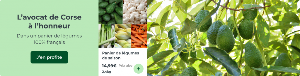 Panier de fruits de saison