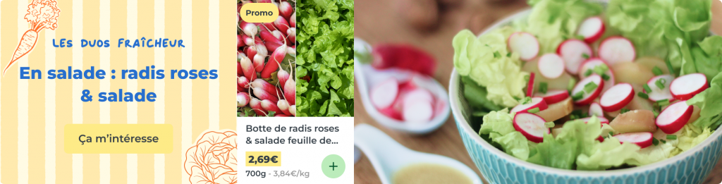 Duo fraîcheur : radis et salade feuille de chêne verte