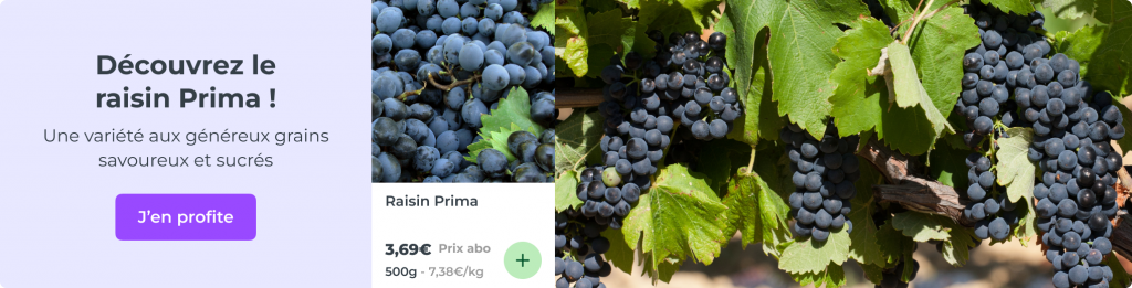 Raisin Prima