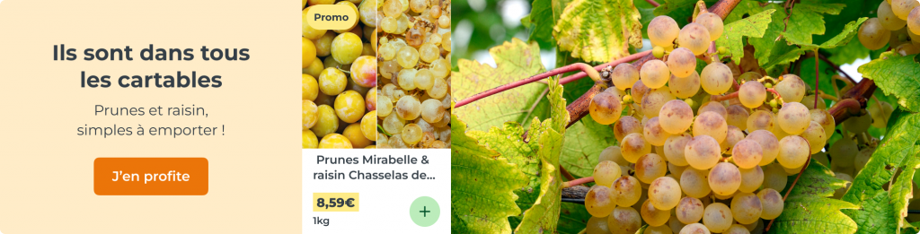 Ils sont dans tous les cartables : prunes et raisin, faciles à emporter !