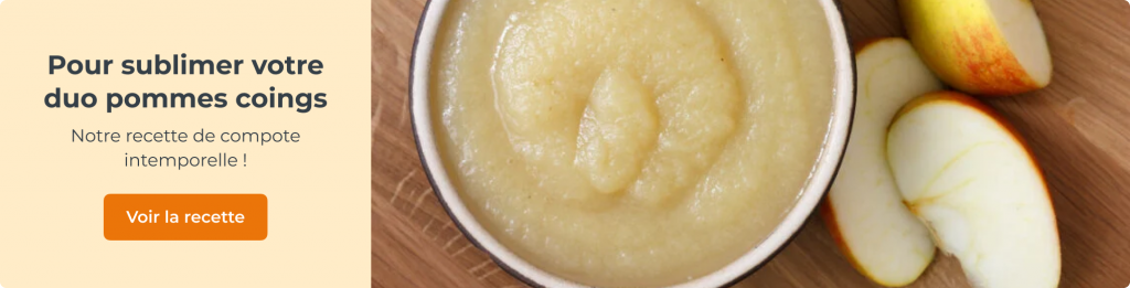 Notre recette de compote pommes et coings