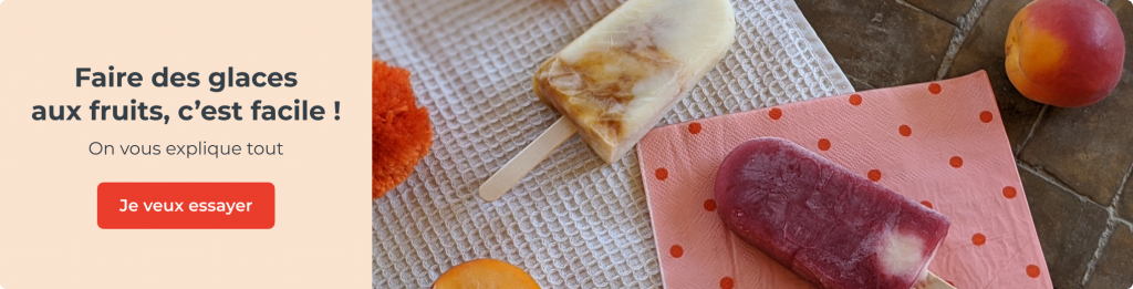 Faire des glaces aux fruits, c’est facile !