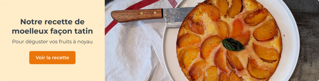 Moelleux aux nectarines façon tatin