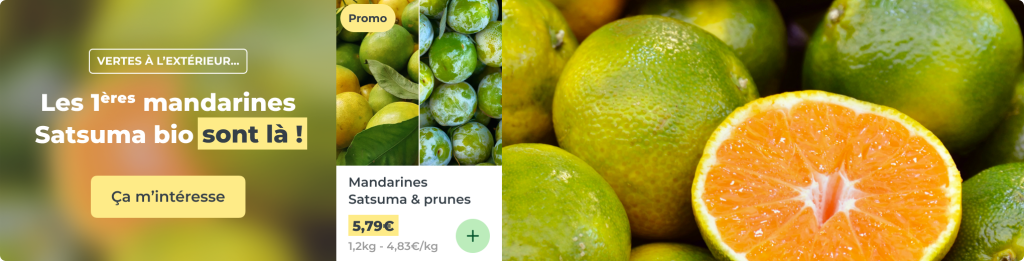 Prunes & mandarines Satsuma bio
