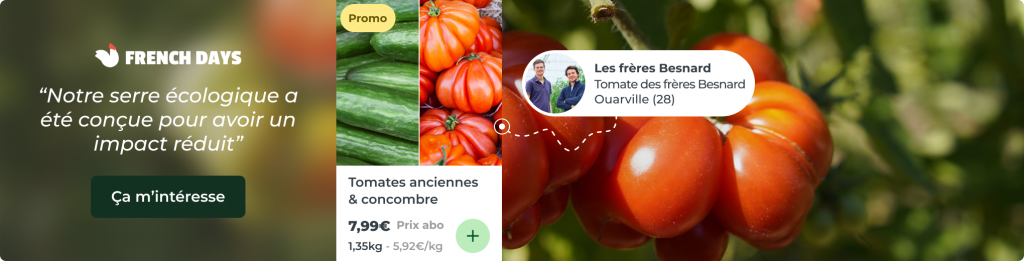 Les tomates anciennes des frères Besnard !