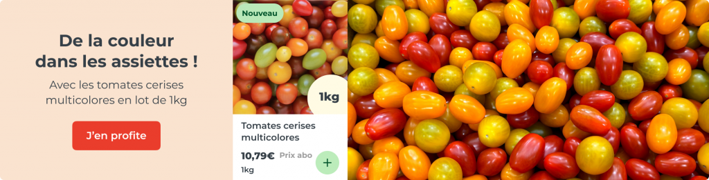 Tomates cerises multicolores
