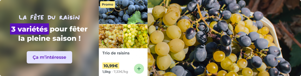 3 variétés de raisin pour fêter la pleine saison