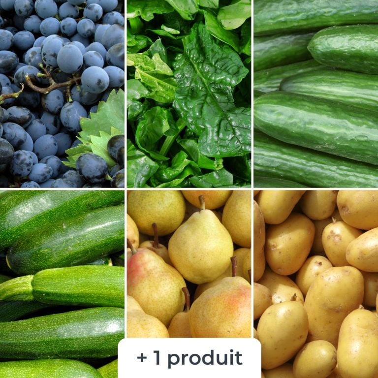 Mélange de fruits & légumes bio