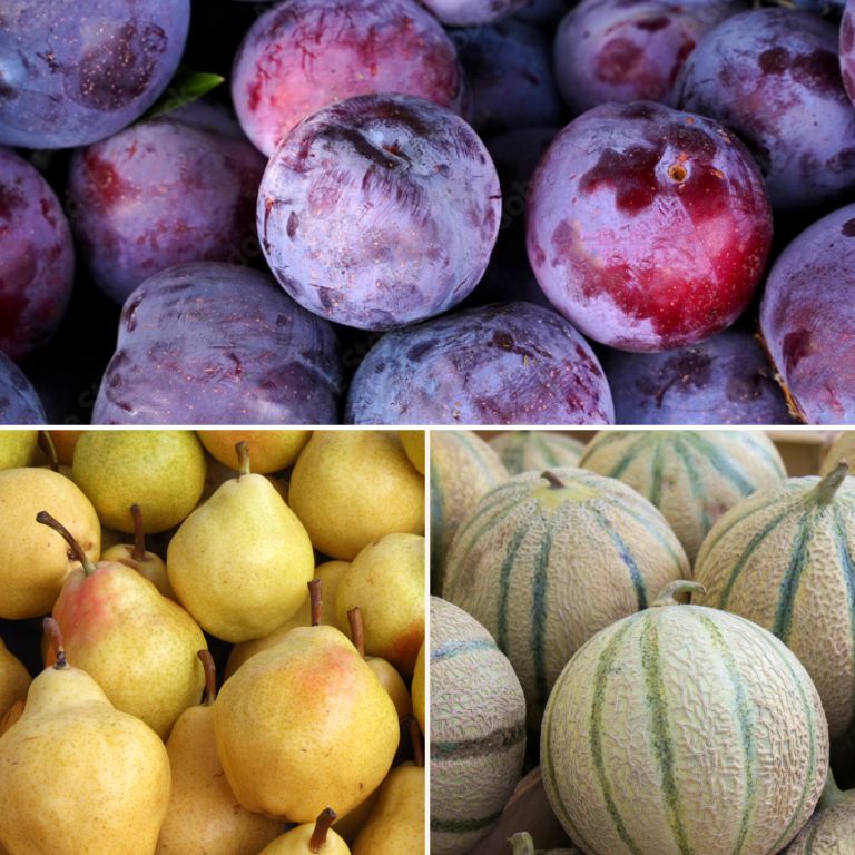 Petit mélange de fruits