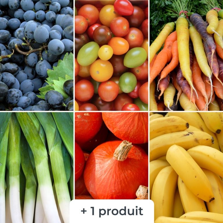 Mélange de fruits & légumes bio