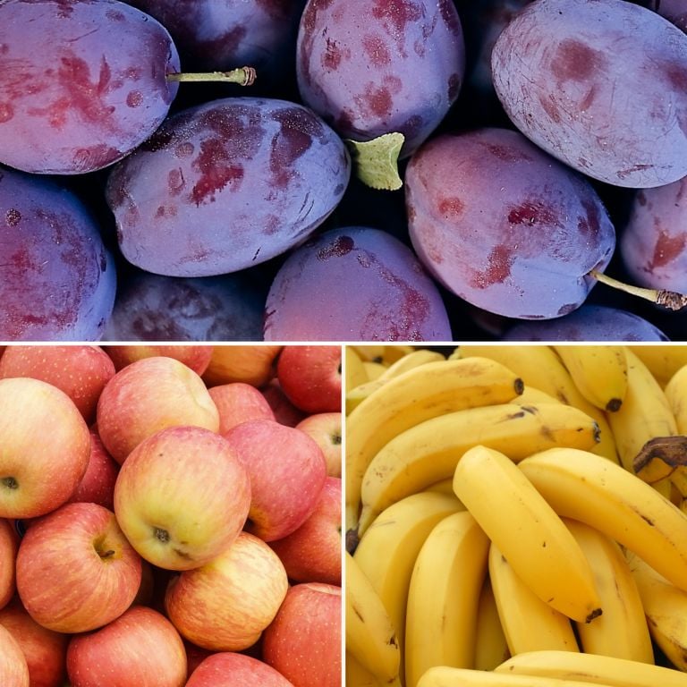 Petit mélange de fruits