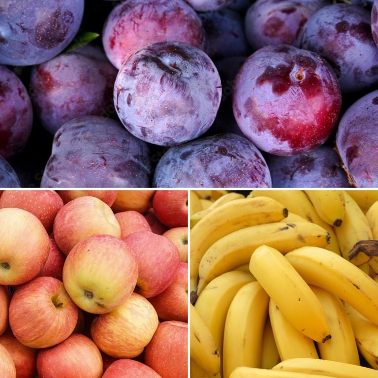 Petit mélange de fruits