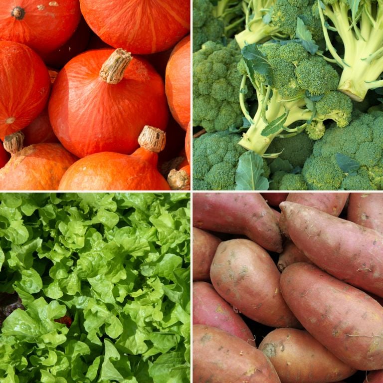 Petit mélange de légumes