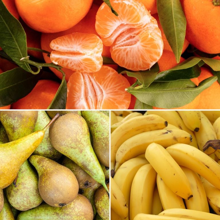 Petit mélange de fruits