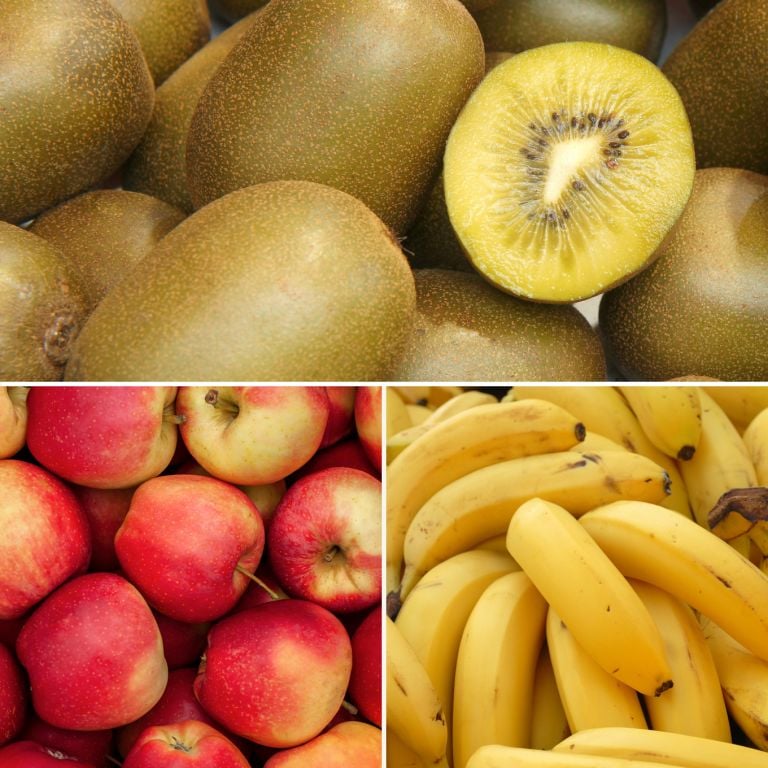 Petit mélange de fruits