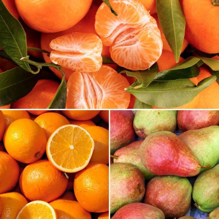 Petit mélange de fruits