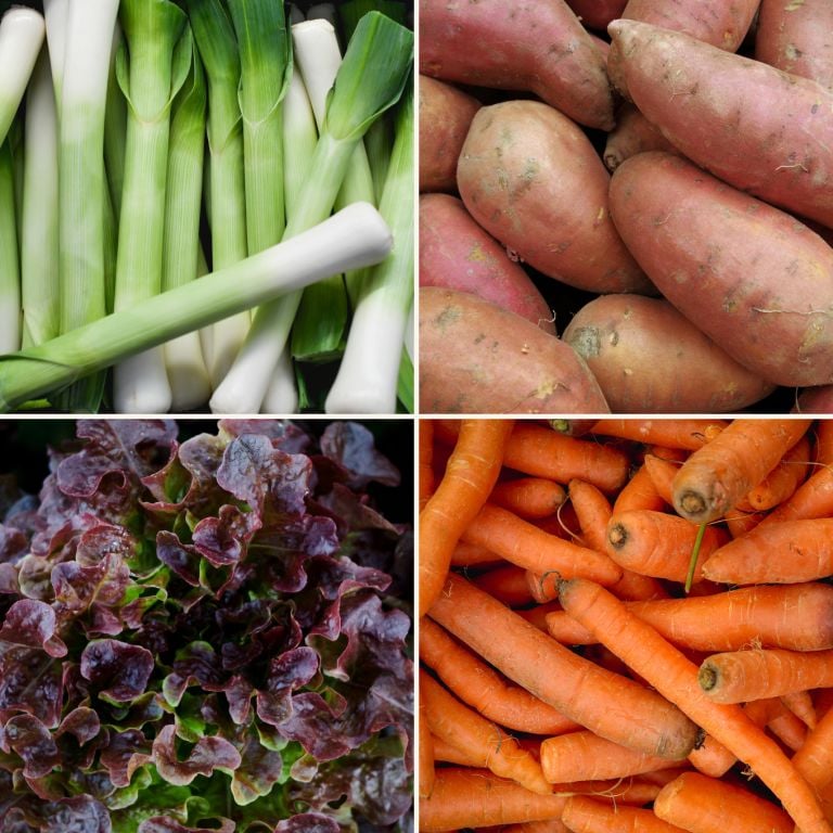 Petit mélange de légumes