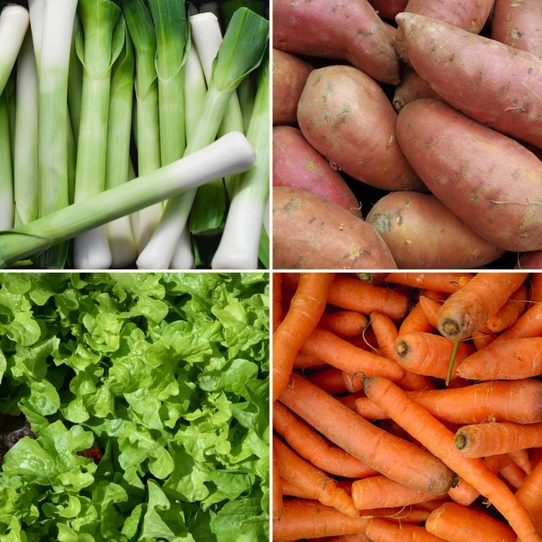 Petit mélange de légumes