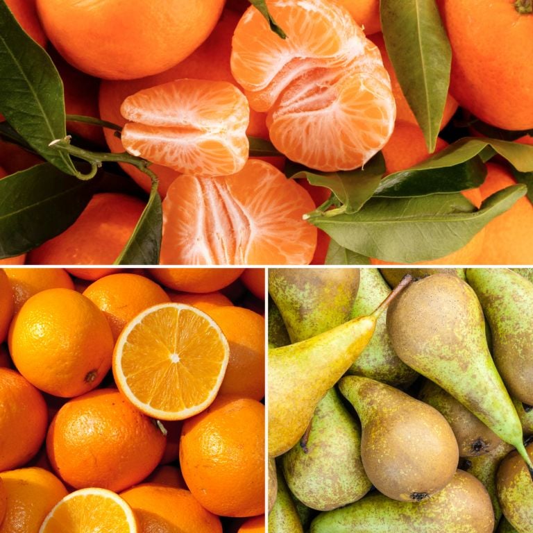 Petit mélange de fruits