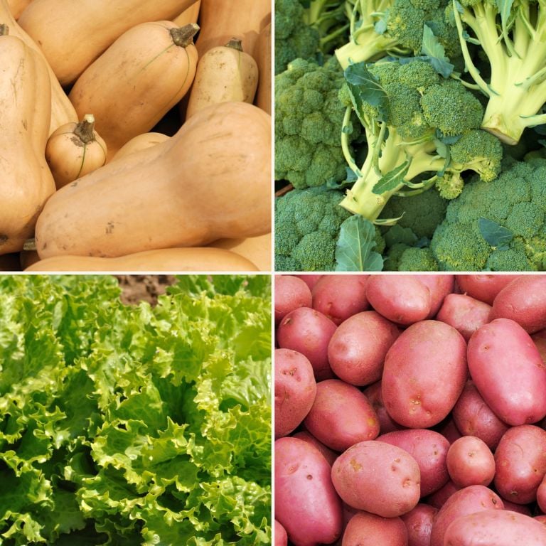 Petit mélange de légumes